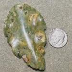 Rhyolite Jasper Leaf Focal Bead 6112011
